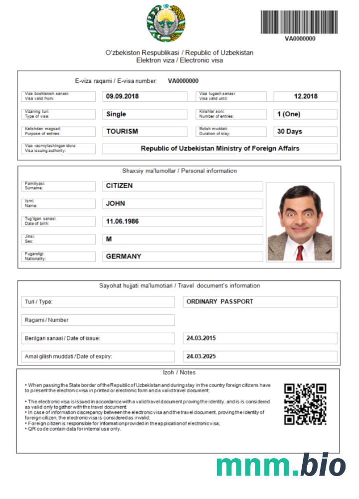 Szablon e-visa do Uzbekistanu